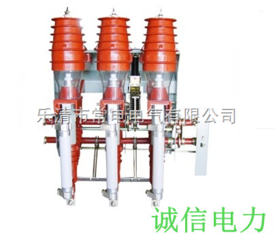 FN12-12D/630-20-D高桥户内高压负荷开关-乐清市常电电气