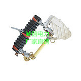 RW4-10/100熔断器_高压熔断器_户外高压熔断器_跌落式熔断器_乐清市常电电气 - 商国互联网